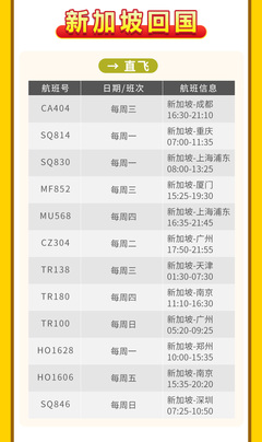 全球机票代订服务 回国与出国无忧，圣诞元旦出行首选