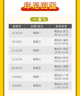 全球机票代订服务 圣诞元旦出行无忧，回国出国出票有保障